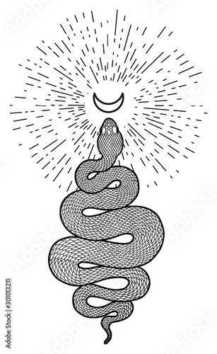 Cuadros en Lienzo Coiled snake and crescent moon detailed illustration