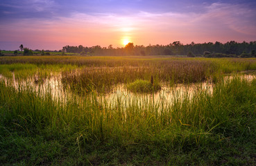 Wall Mural - sunset country landscape.