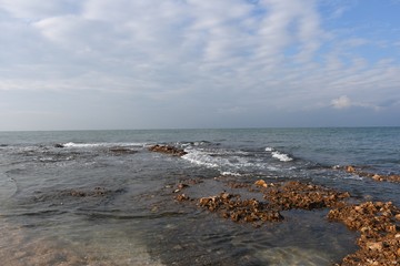 Wall Mural - sea and rocks