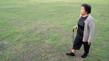 Wall Mural - senior woman walking with walking stick in grass field