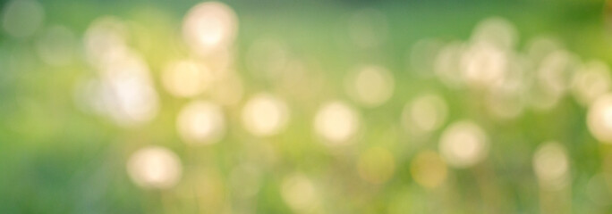 Natural green, white and yellow bokeh. Abstract defocused nature background. Blurred backdrop.