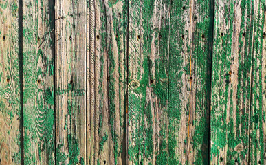 Old wooden boards on a fence painted with green paint.