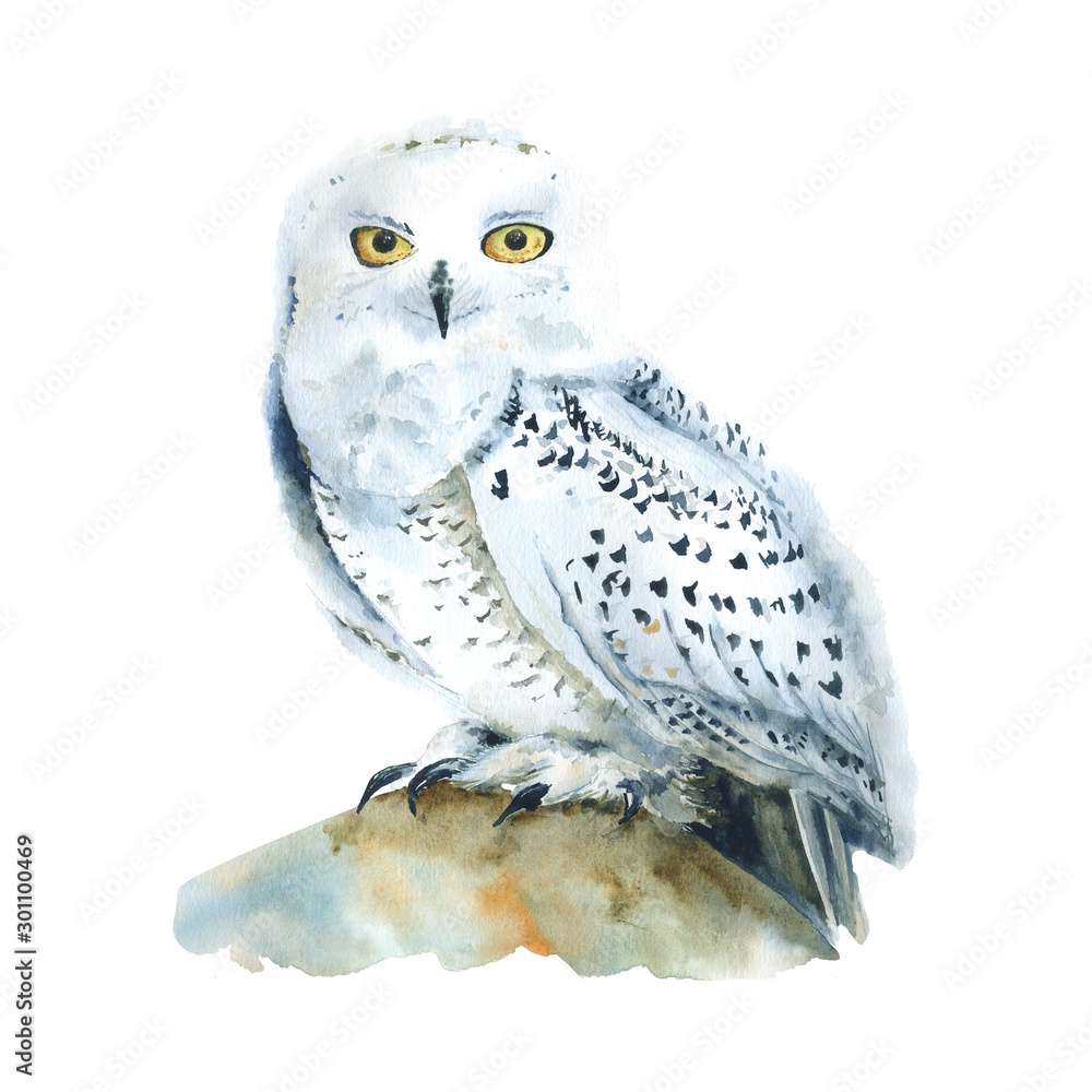 White owl painting woodland nursery poster Polar Owl art print wall decor Flying bird  Watercolor Snowy owl fine art print