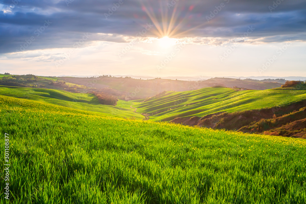 Obraz na płótnie Amazing spring landscape with sun's rays touching the endless green rolling hills of Tuscany at sunrise w salonie