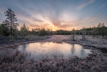 Calmness And Cold Autumn Morning With Frozen Pond And Sunrise In Wetland Finland