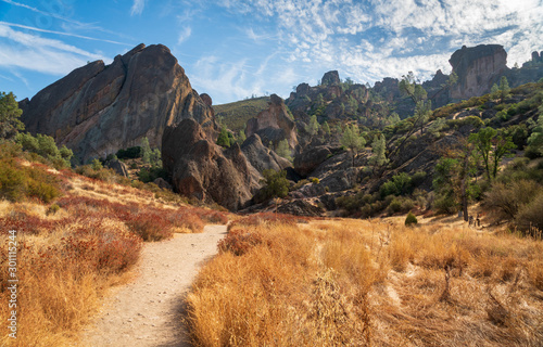 Fotomural Trail Through Pinnacles National Park