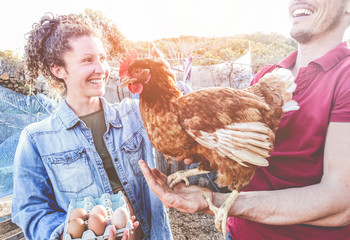 Happy couple picking up fresh organic eggs in henhouse farm at sunset - Young farmers working in summer time - Healthy lifestyle, love, agriculture - Focus on girl face