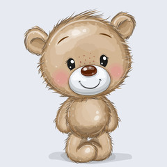 cartoon teddy bear isolated on a white background