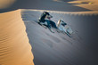 Two Sloughi dogs (Arabian greyhound) rest on top of a sand dune in the Sahara desert of Morocco. .Two Sloughi dogs (Arabian greyhound) rest on top of a sand dune in the Sahara desert.