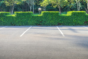 Wall Mural - Empty space of car parking lot with green bush in the background.