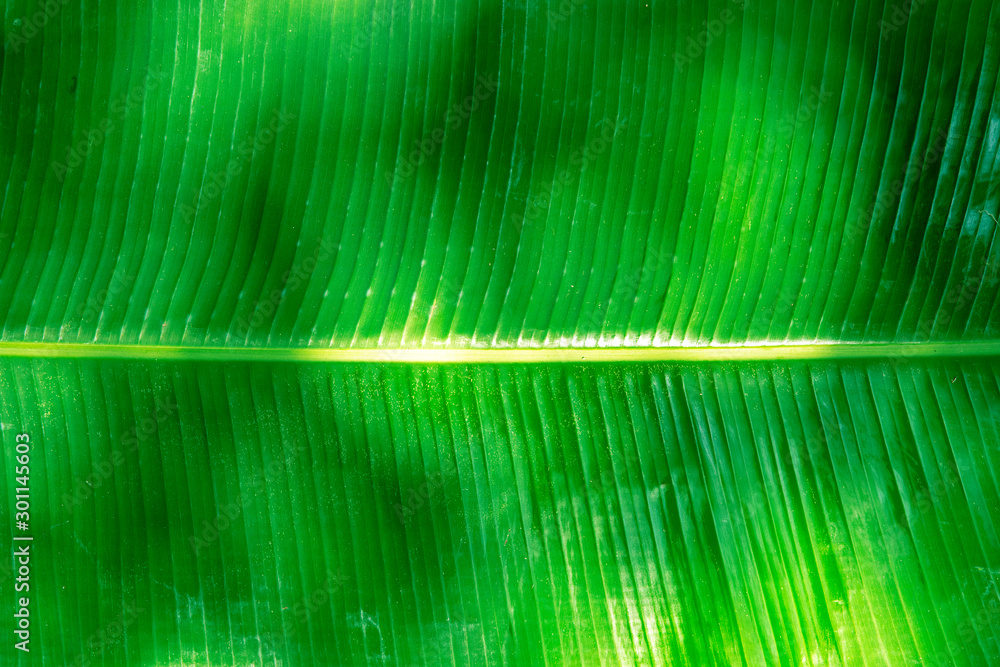 Juda oriq qiz bilan jinsiy aloqa