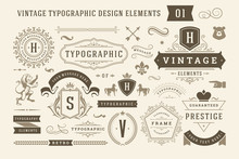 Vintage Typographic Design Elements Set Vector Illustration.