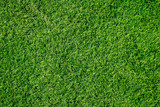 Fototapeta Sypialnia - Green grass texture can be use as background
