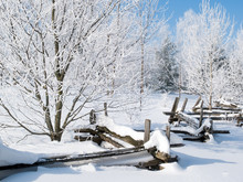 In A Snowy Landscape, A Split Cedar Fence Winds Its Way Through Hoar Frost Covered Trees Under A Blue Sky