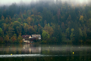 Wall Mural - Early foggy morning on the Bled lake