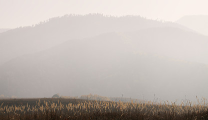 autumn mountain landscape, morning haze, minimalism