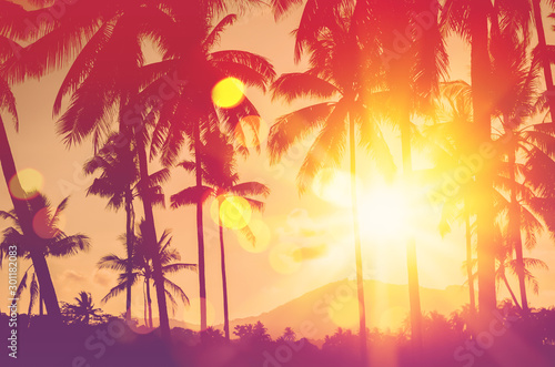 Tropical palm tree with colorful bokeh sun light on sunset sky cloud abstract...