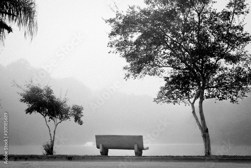 Naklejka mgła  spokojny-scenariusz-pustej-lawki-wsrod-drzew-nad-jeziorem-w-mglisty-poranek