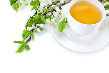 Wall Mural - Green tea in a ceramic cup with branches of blossoming apple tree isolated on a white background. Top view.