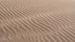 ripples in the sand of a dune in the desert