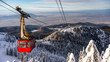 Poiana Brasov, Romania - cable car  ski resort, skiers and snowboarders enjoy the ski slopes in winter resort with trees covered in snow.