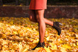 Close-up sexy female legs in black boots in autumn park. Side view.