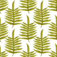 Green watercolor fern leaves seamless pattern isolated on white background. Real watercolor. Botanical illustration.