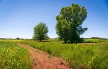 The Landscape Of Washita Battlefield National Historic Site