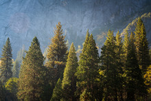 El Capitan At Yosemite National Park