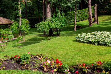 landscape design of a hilly park with a green lawn and a flowerbed with blooming flowers lit by sunlight and in the shade under tall trees.