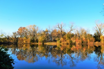 Poster - Autumn Lake