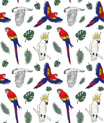 Vector seamless pattern of different hand drawn doodle sketch parrot and palm leaves isolated on white background