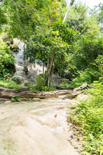 Vertical Bua Tong Or Buatong Limestone Waterfall In The Jungle In Chiang Mai, Thailand. Limestone Waterfall In The Forest Background