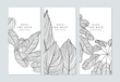 Set of botanical brochure cover template design, leaves line art ink drawing in black on white
