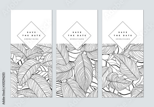 Set of botanical brochure cover template design, leaves pattern line art ink ...