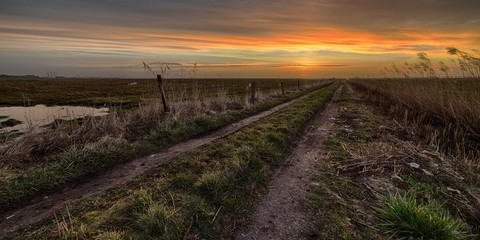 Wall Mural - Beautiful sunset over the field on the countryside