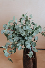 Dry branches of eucalyptus in a black ceramic vase. Object of interior design 