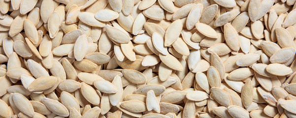 Sticker - Pumpkin seeds unpeeled full background, closeup view, banner