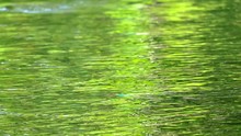 Yellow Green Little Wave Moving On Pond Water Surface In The Garden