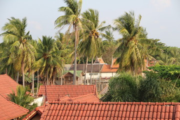 house on the beach