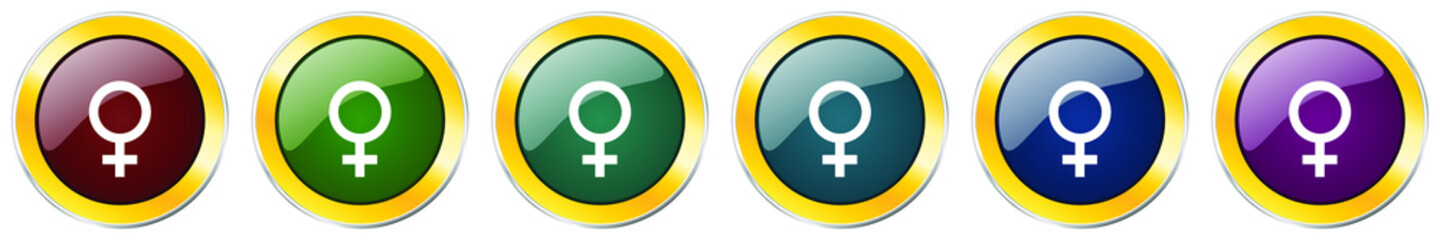 Poster - Female glossy icon set, silver metallic golden vector illustrations in 6 options for web design and mobile applications