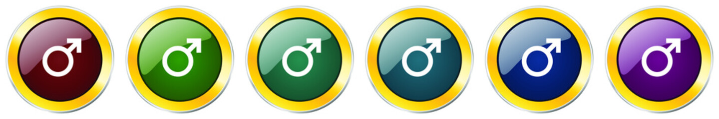 Poster - Male glossy icon set, silver metallic golden vector illustrations in 6 options for web design and mobile applications