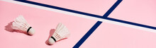 Two Badminton Shuttlecocks On Pink Background With Blue Lines, Panoramic Shot