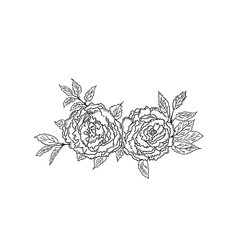 Composition of two lush beautiful roses with leaves. Monochrome isolated illustration on a white background.