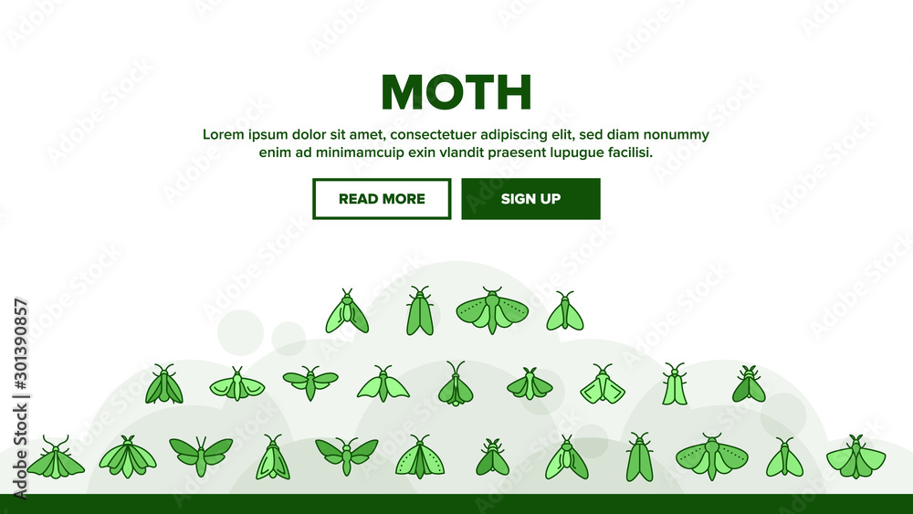 Moth, Insects Entomologist Collection Vector Linear Icons Set. Moth ...
