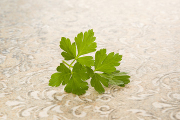 Wall Mural - Fresh parsley leaves.