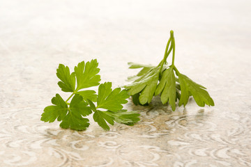 Wall Mural - Fresh parsley leaves.