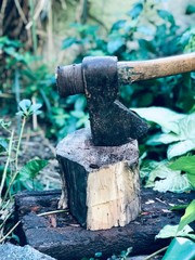  Ax chopping wood to roast meat