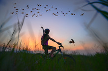 Bird And Flocks Fly Over Medow Lake With Cheerfuly Of Woman Rider Bike In Rise Hand Up In The Field At Sunset