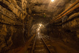 Fototapeta Desenie - Gold iron mine ore shaft tunnel drift with rails underground